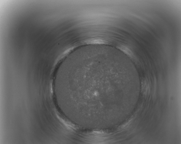 X0000067500302200604150114