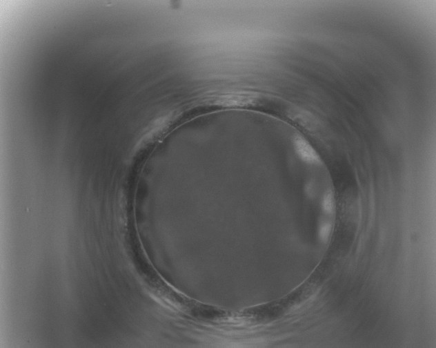 X0000067500303200604150114