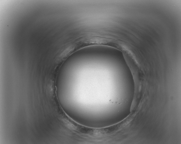 X0000067500305200604150114