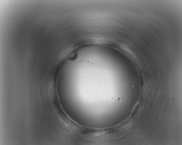 X0000067500306200604150114