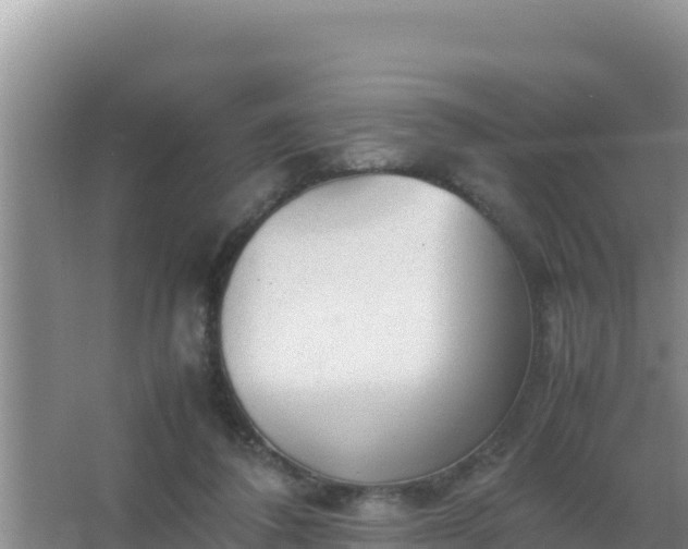 X0000067500308200604150114