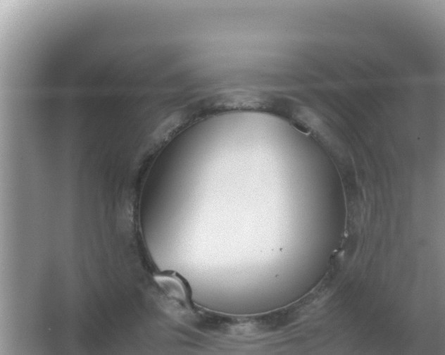 X0000067500309200604150114