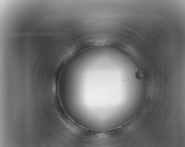 X0000067500310200604150114