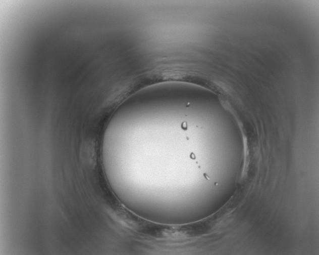 X0000067500311200604150114