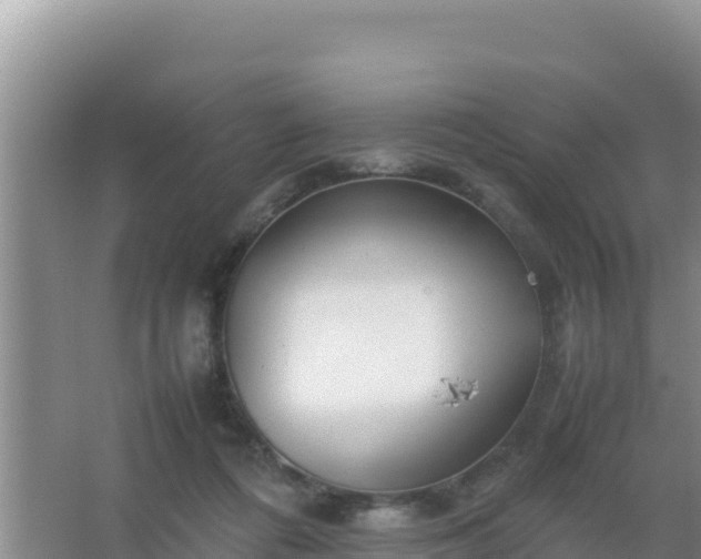 X0000067500312200604150114