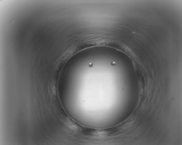 X0000067500313200604150114