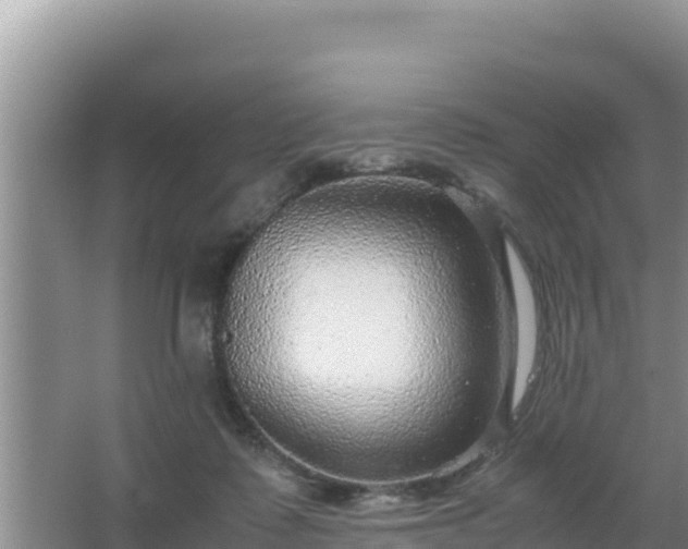 X0000067500315200604150114