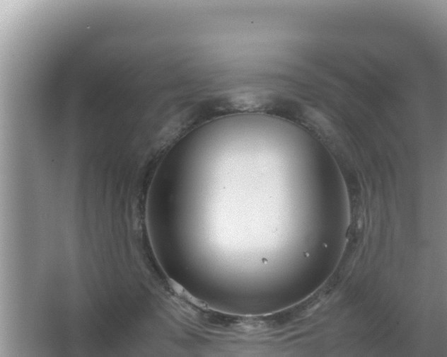 X0000067500317200604150114