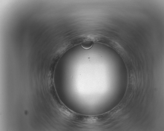 X0000067500318200604150114