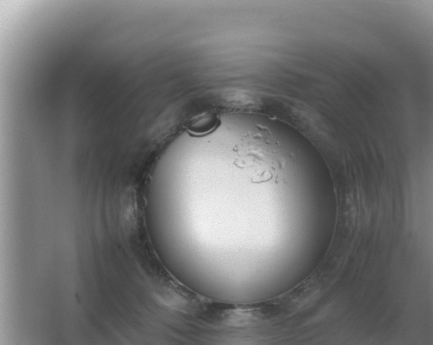 X0000067500320200604150114