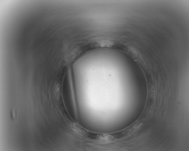 X0000067500321200604150114