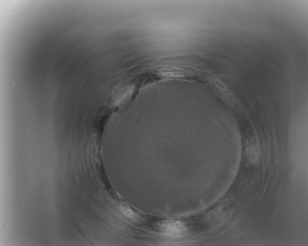 X0000067500322200604150114