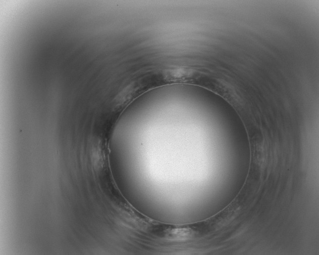 X0000067500324200604150114