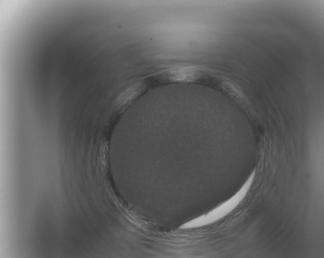 X0000067500325200604150114