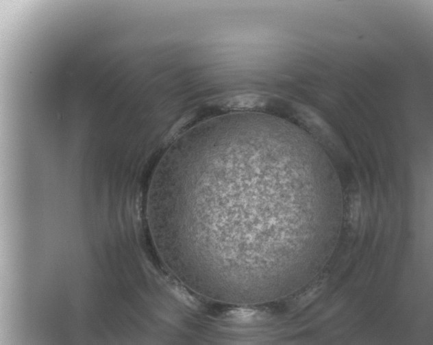 X0000067500326200604150114