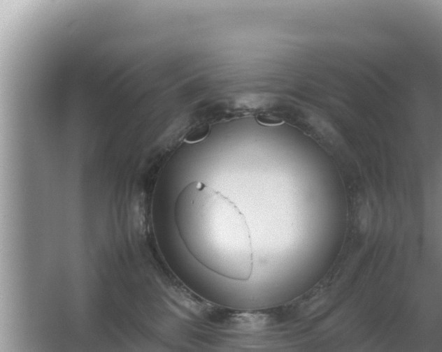 X0000067500328200604150114