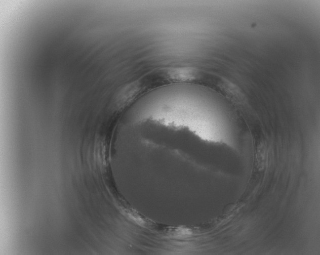 X0000067500330200604150114