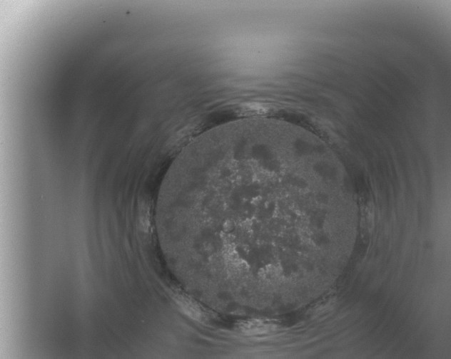 X0000067500331200604150114