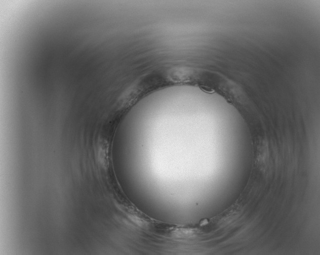 X0000067500332200604150114