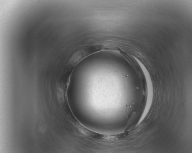 X0000067500333200604150114