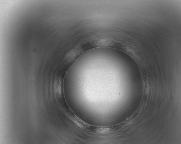 X0000067500334200604150114