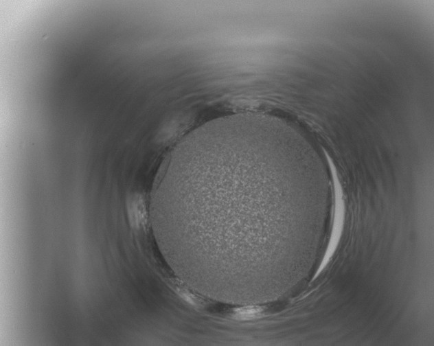 X0000067500335200604150114