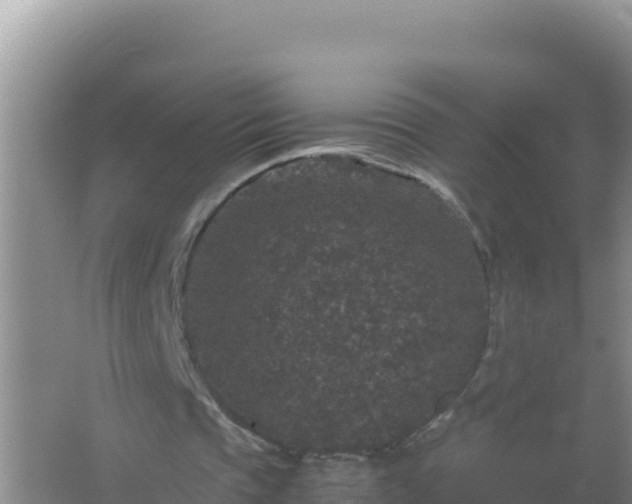 X0000067500337200604150113