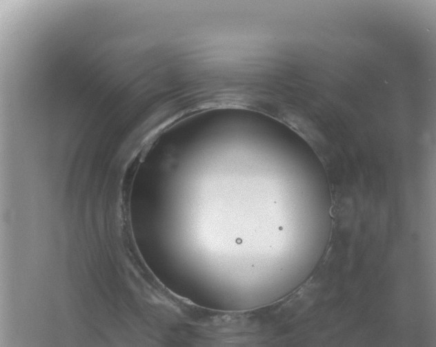 X0000067500338200604150113