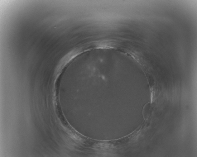 X0000067500339200604150113