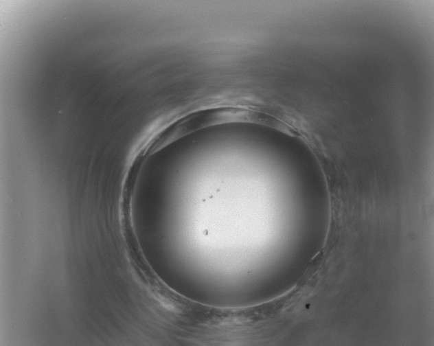 X0000067500340200604150113