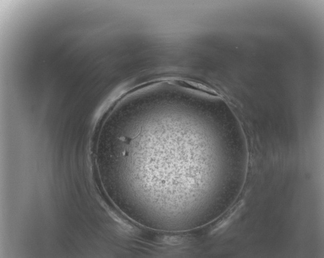 X0000067500341200604150113