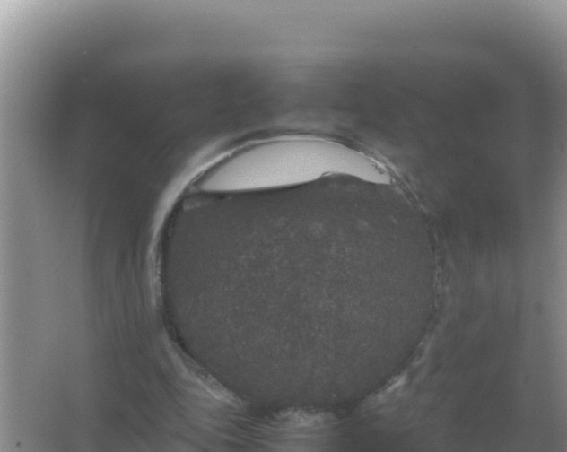 X0000067500343200604150113