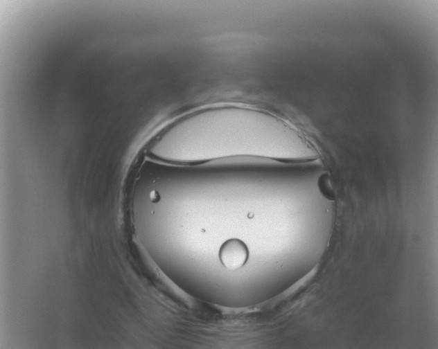 X0000067500344200604150113