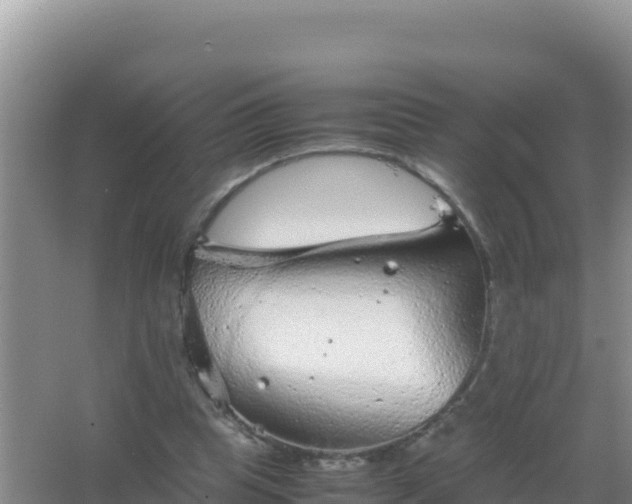 X0000067500345200604150113