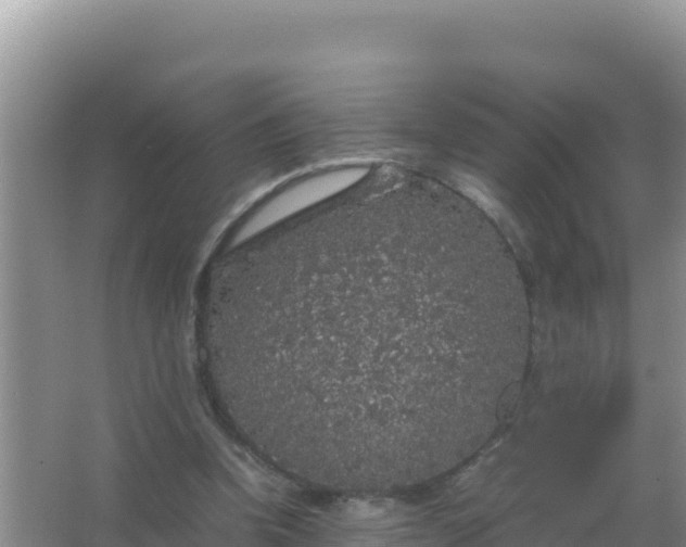 X0000067500346200604150113