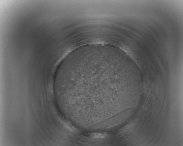 X0000067500347200604150113