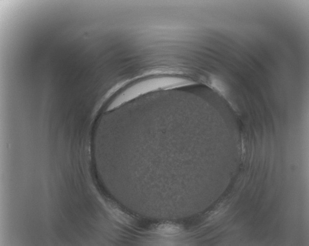 X0000067500348200604150113