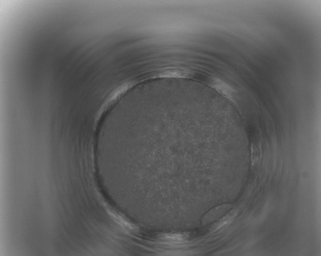 X0000067500349200604150113