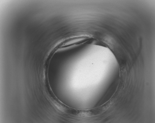 X0000067500350200604150113