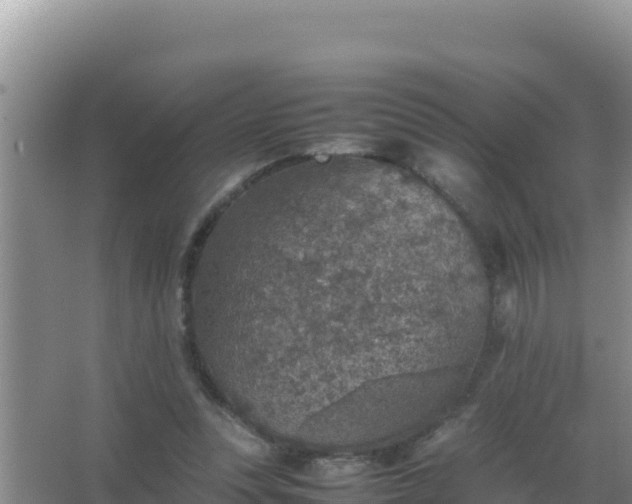 X0000067500351200604150113