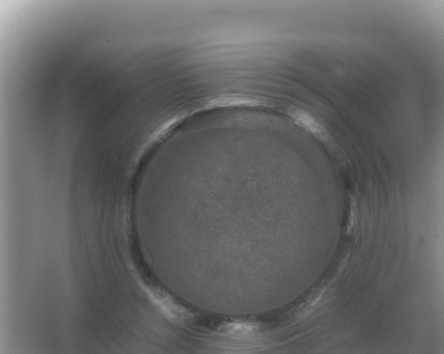 X0000067500352200604150113