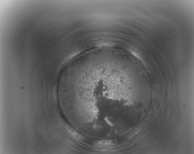 X0000067500353200604150113