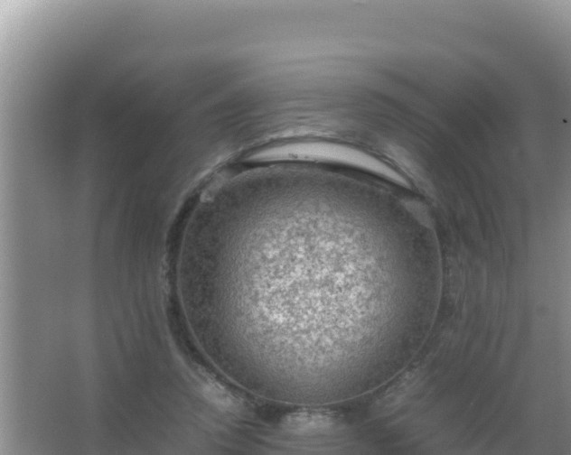 X0000067500354200604150113