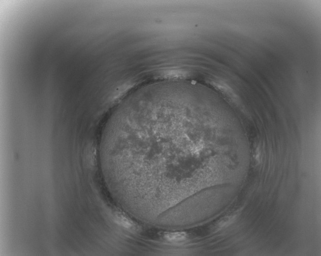 X0000067500355200604150113