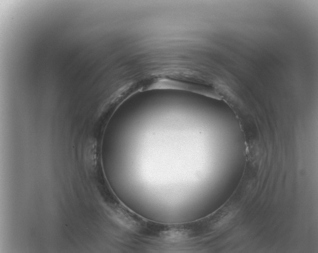 X0000067500356200604150113