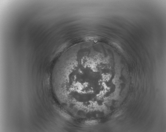 X0000067500357200604150113