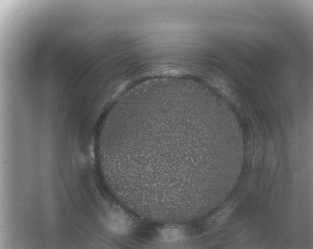 X0000067500358200604150113