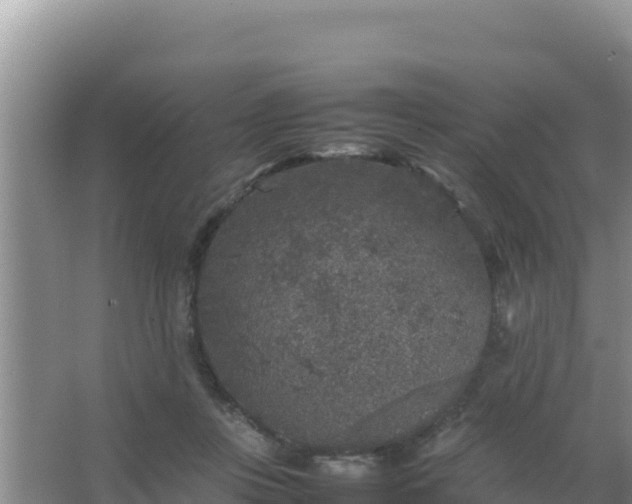 X0000067500359200604150113