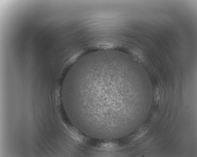 X0000067500360200604150113