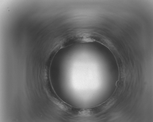 X0000067500362200604150113